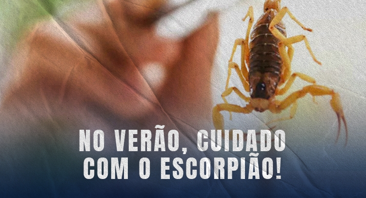 Capa da notícia
